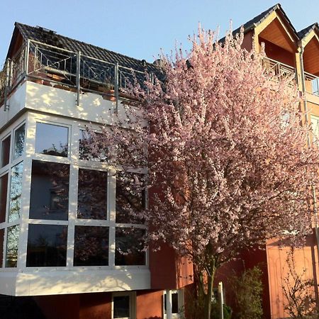 Gaestehaus Kirschgarten Bodenheim Exteriör bild