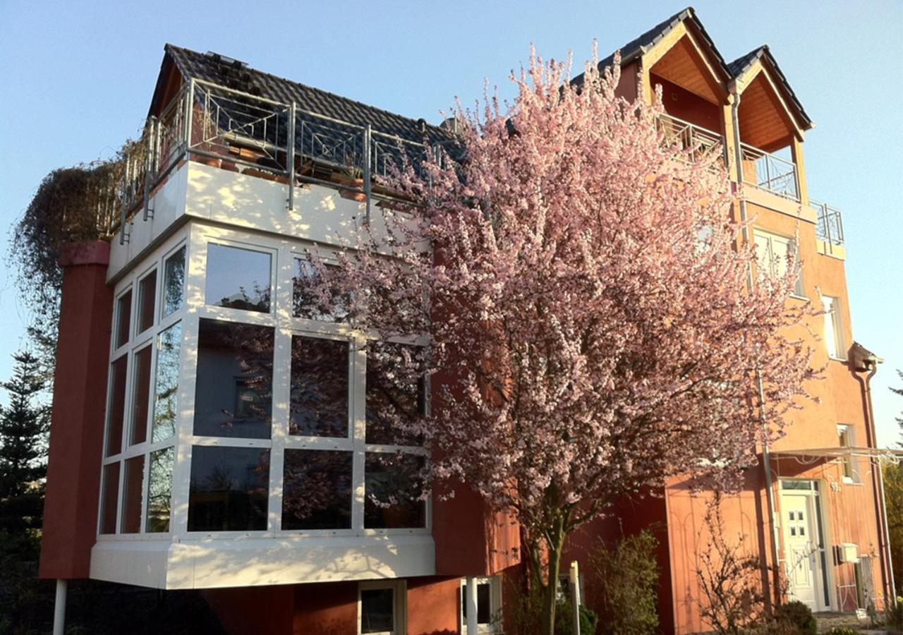 Gaestehaus Kirschgarten Bodenheim Exteriör bild