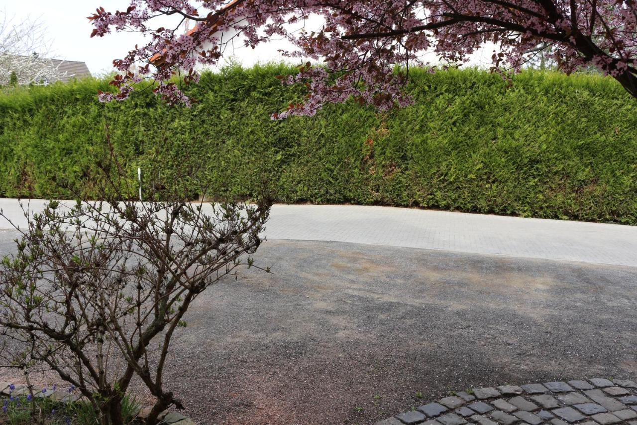 Gaestehaus Kirschgarten Bodenheim Exteriör bild